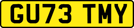 GU73TMY