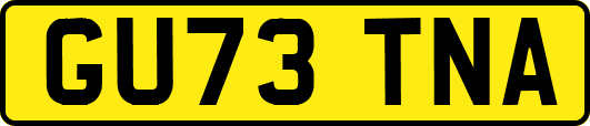 GU73TNA
