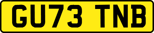 GU73TNB