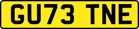 GU73TNE