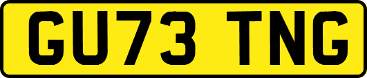 GU73TNG
