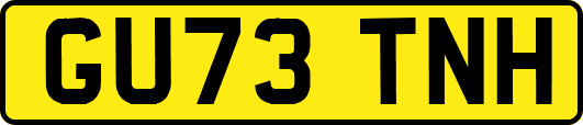 GU73TNH