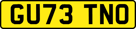 GU73TNO