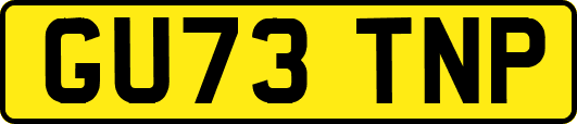 GU73TNP