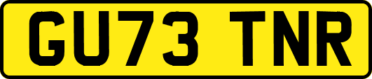 GU73TNR