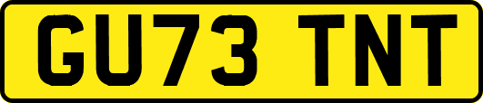 GU73TNT