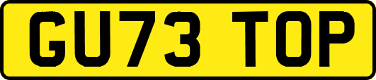 GU73TOP
