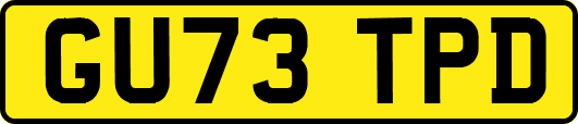 GU73TPD