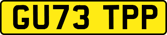 GU73TPP