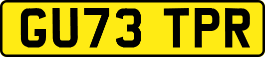 GU73TPR