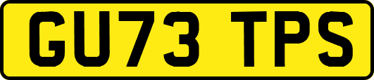 GU73TPS