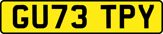 GU73TPY