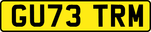 GU73TRM