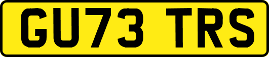 GU73TRS