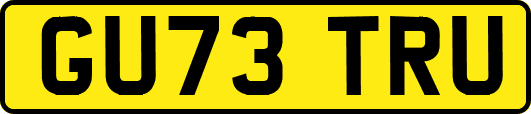 GU73TRU