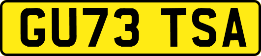 GU73TSA
