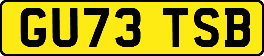 GU73TSB