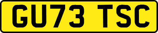 GU73TSC