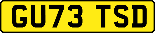 GU73TSD