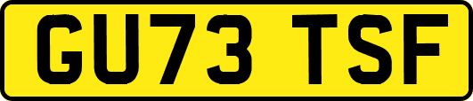 GU73TSF