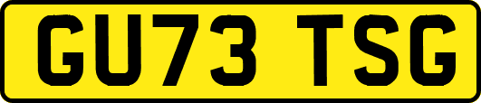 GU73TSG