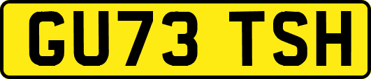 GU73TSH