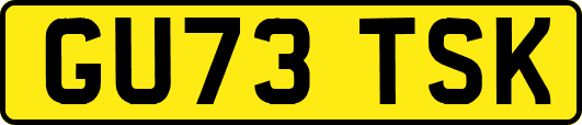 GU73TSK