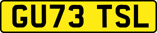 GU73TSL