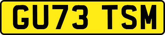 GU73TSM