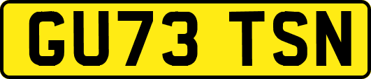 GU73TSN