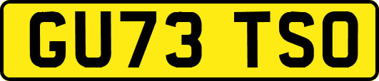GU73TSO