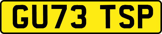 GU73TSP