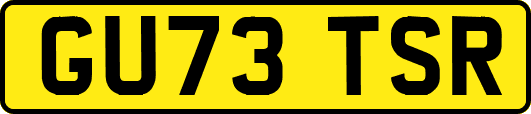 GU73TSR