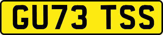 GU73TSS