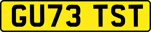 GU73TST