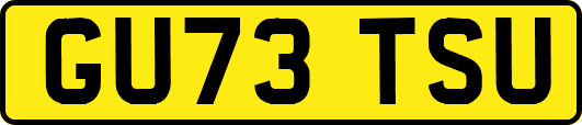GU73TSU