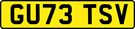 GU73TSV