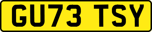 GU73TSY