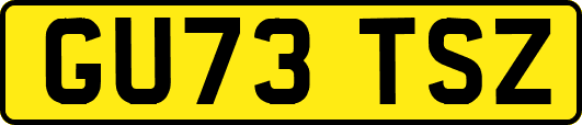 GU73TSZ