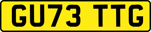 GU73TTG