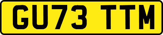 GU73TTM