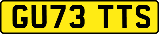 GU73TTS