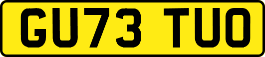 GU73TUO