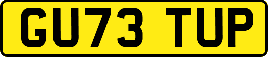 GU73TUP
