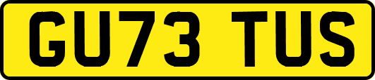 GU73TUS