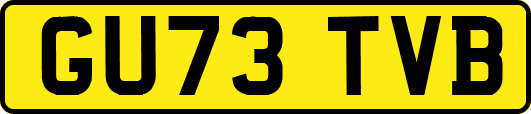GU73TVB
