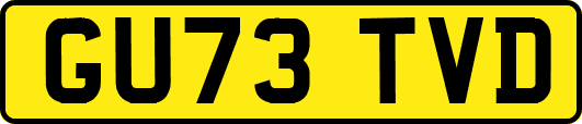 GU73TVD