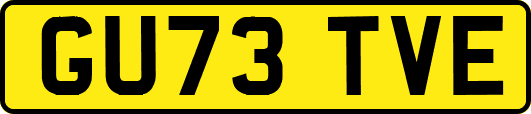 GU73TVE