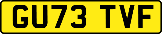 GU73TVF