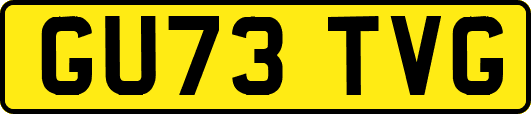 GU73TVG